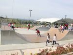 SKATE PARK 7 – modular skatepark equipment